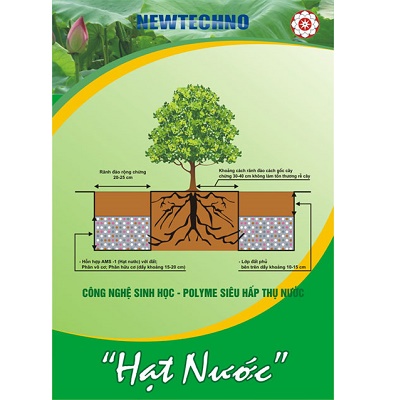 Hạt polime siêu hấp thu nước, giúp giữ ẩm cho cây trồng